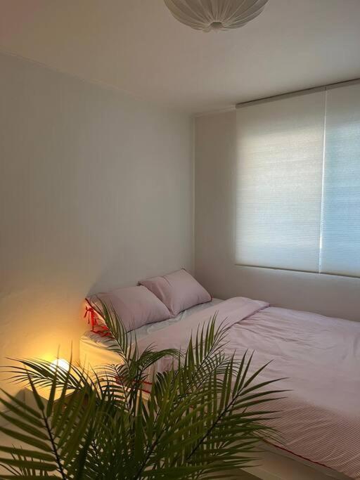 Cherry House In Hongdae Apartment Seoul