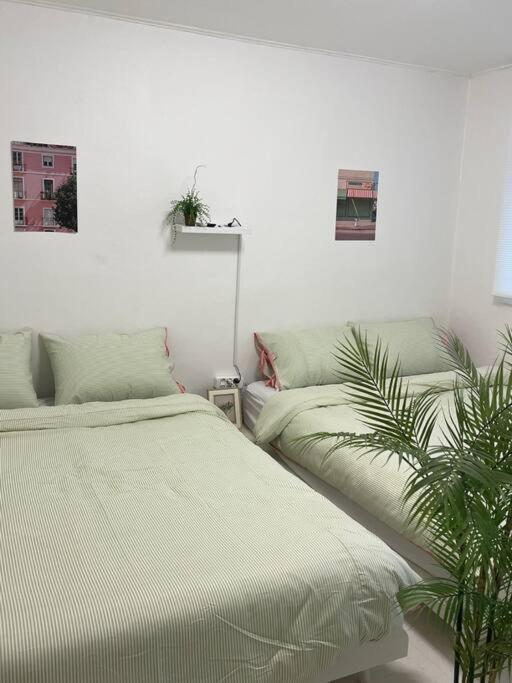Apartment Cherry House In Hongdae