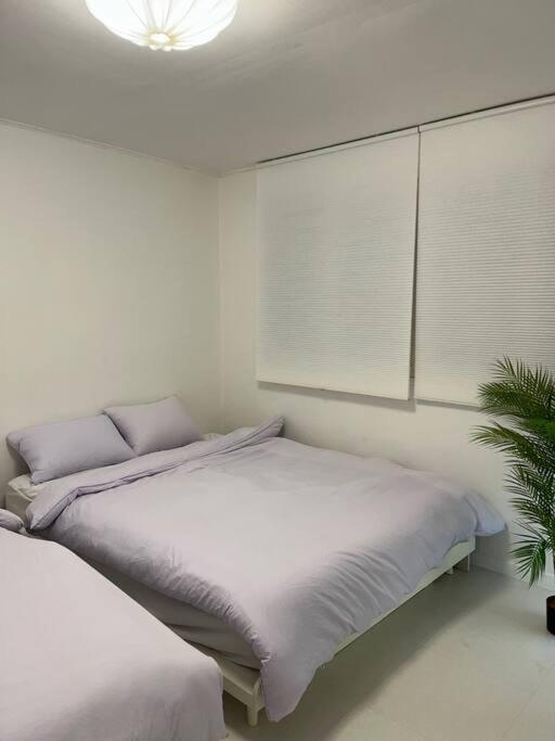 Cherry House In Hongdae Apartment *