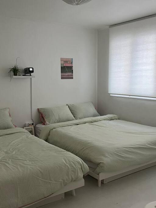 Apartment Cherry House In Hongdae *